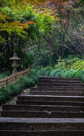 Stone stairway in the garden in autumn season, Chiang Mai, Thailand