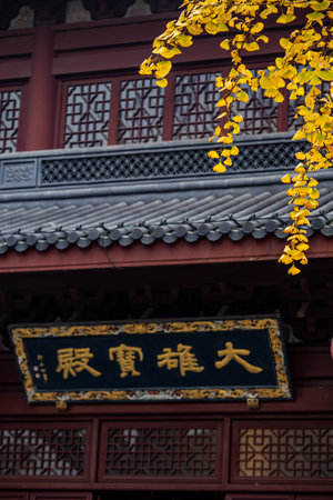 Ginkgo biloba leaves and chinese temple in autumn.の写真素材