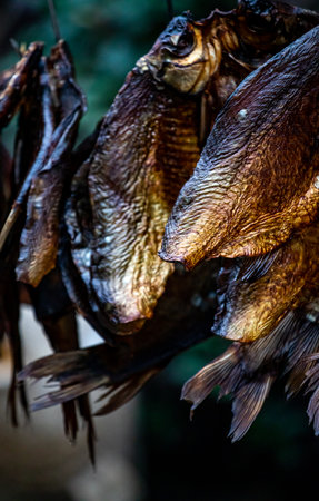 Dried fish on the market in Thailand. Selective focus.の写真素材