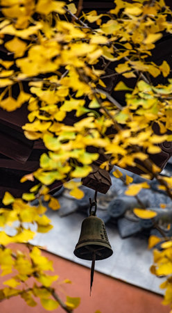Bells and ginkgo leaves in autumn at the temple.の写真素材