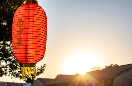 Chinese lanterns for Chinese New Year in the park at sunset.の写真素材
