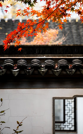 Autumn leaves at Hase-dera temple in Kyoto, Japanの写真素材