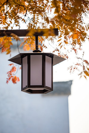 Lantern hanging on the wall in the autumn garden with leavesの写真素材
