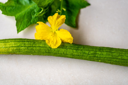 Fresh cucumber with leaf and flower on white background. Selective focus.の写真素材