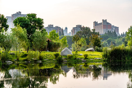 beautiful landscape in the city park on the bank of the riverの写真素材