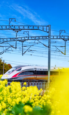 The high-speed train on the background of a rape field.の写真素材