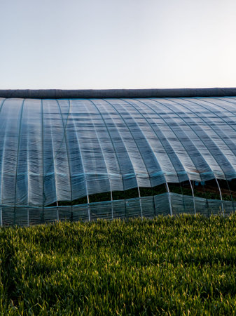 Greenhouses in the field, greenhouses in the countryside, agriculture