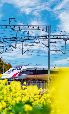 High-speed train on the background of a yellow rape field.の写真素材
