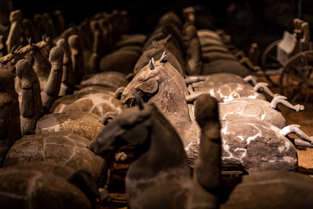 Terracotta Warriors in Terracotta Armyの写真素材