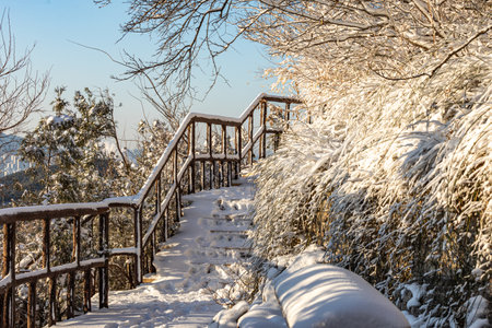 Wooden stairs in winter forest with snow and blue sky background.の写真素材