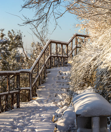 snowy stairs in winter forest with blue sky and white cloudsの写真素材