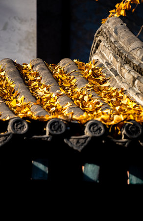 Closeup of chinese temple roof, Thailand.の写真素材