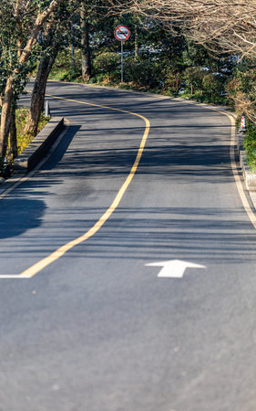 Asphalt road with tree shadow on the ground in the park.の写真素材