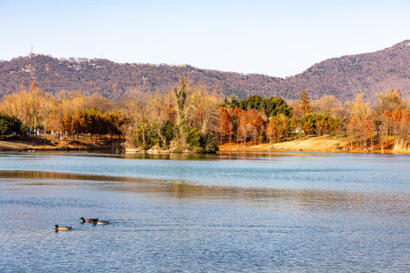 Autumn landscape with lake, trees and mountains in the background.の写真素材