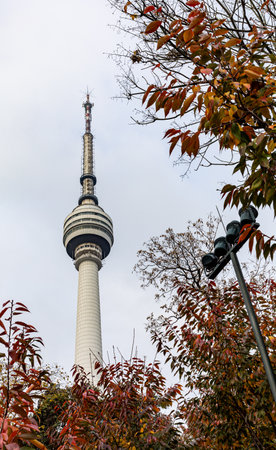 Tokyo Tower in autumn, Japan. Tokyo Tower is the tallest building in Japan.の写真素材
