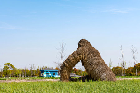 Haystack in the field with blue sky backgroundの写真素材