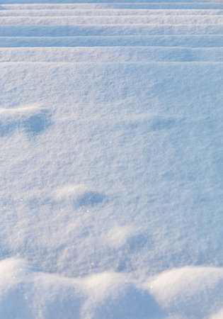 snow texture, close-up of snowflakes, background