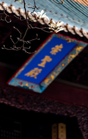 Close-up view of a buddhist temple in China.の写真素材