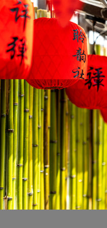 Red lanterns hanging on the bamboo in the street of Kyoto, Japan.の写真素材
