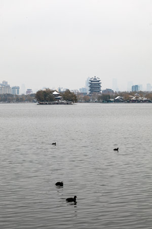 Hangzhou West Lake scenery in winter, Hangzhou, Chinaの写真素材