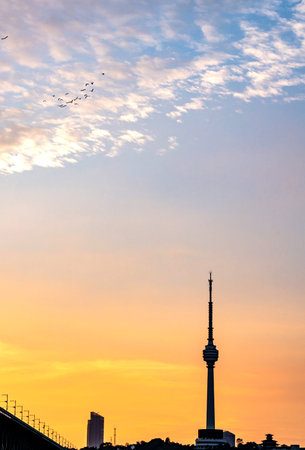 Toronto city skyline at sunset with a flock of birds flying in the skyの写真素材