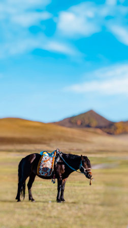 Horse in the Mongolian steppe on a background of mountainsの写真素材