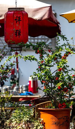 Red Chinese lanterns in a street in Chinatown, Beijing, Chinaの写真素材