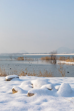 river and snow landscape in winter, closeup photo with selective focusの写真素材