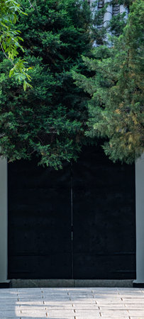 Wooden door and green trees in the background, urban scene.