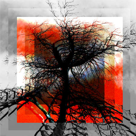 Bloody aura treeの写真素材