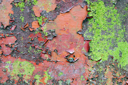 Old paint peeling off the Gateの写真素材