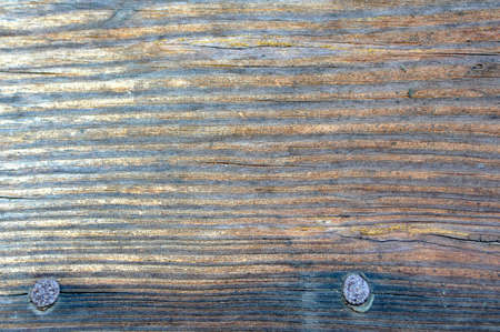 Old board with a nailの写真素材