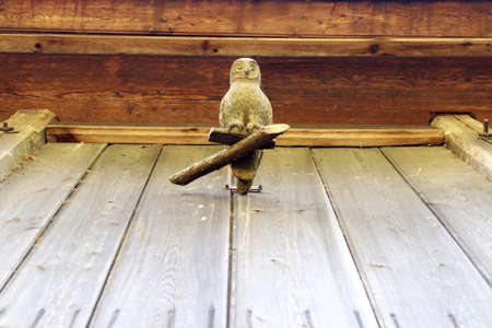 A wooden owl at the church in Bardzice. st. Andrzej Bobolaの写真素材