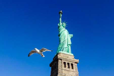 Pigeon in front of Statue of Liberty at perfect weather conditions blue sky copperの写真素材