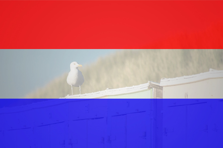 Flag of Netherlands in minimalistic design and high qualityの写真素材
