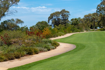 Hiking path between beautiful flowers and perfect grass in Kingspark Perth Western Australiaの写真素材