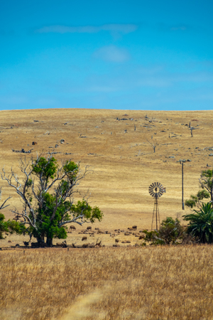 Rusty windmill standing on dry farmland in Western Australiaの写真素材