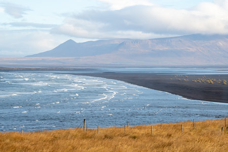 Hvitserkur rock formation in Iceland bay view next to sight yellow meadows and black beaches