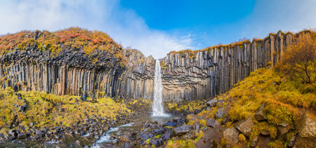 Svartifoss waterfall panorama of black basalt columns between autumn colored nature