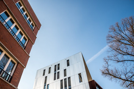 Modern architecture next to traditional architecture next to tree in front of the blue sky