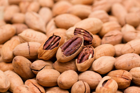Pecan background