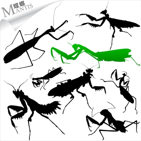 Silhouettes of insects - mantisのイラスト素材