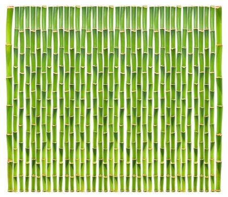 Bamboo backgroundの写真素材