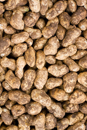 Fresh peanut background