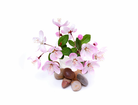 Blooming peach blossom and stones in spring isolated on whiteの写真素材