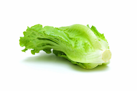 Fresh lettuce isolated on white backgroundの写真素材