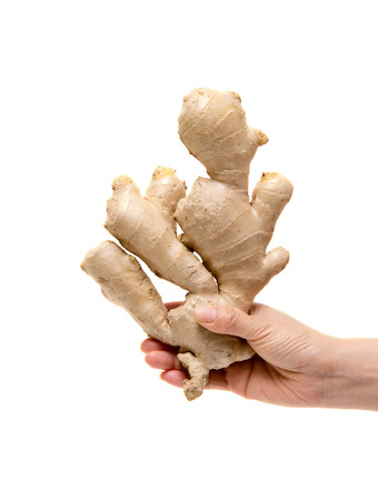 Holding ginger root isolated on white backgroundの写真素材