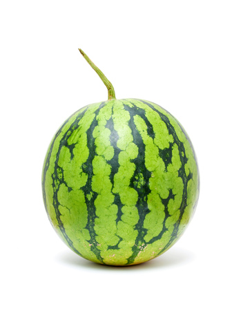 Whole watermelon isolated on white backgroundの写真素材