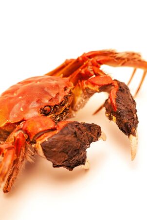 Cooked Chinese hairy crab isolated on whiteの写真素材