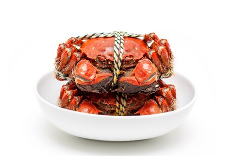 Cooked Chinese hairy crab isolated on white backgroundの写真素材
